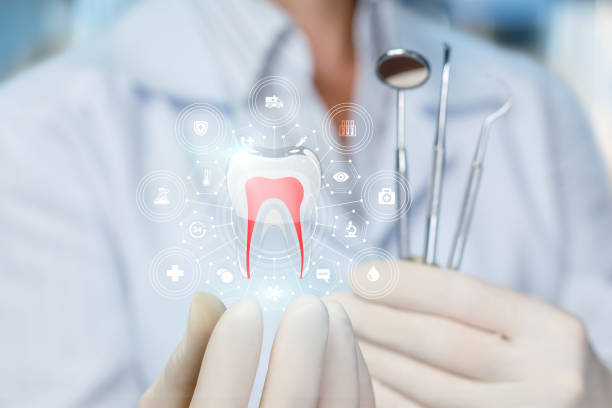 Best Dental Exams and Cleanings  in Egypt Lake Leto, FL