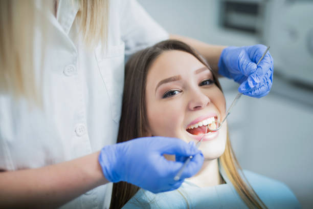 Professional  Holistic Dental Services in Egypt Lake Leto, FL
